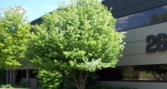 2660 Horizon Drive SE Grand Rapids, MI 49546 - Image 14960378