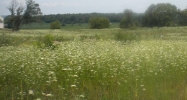 974 US ROUTE 20 Cherry Valley, IL 61016 - Image 14960482