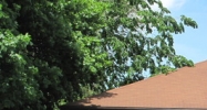 405 Lucas Ave Kingston, NY 12401 - Image 14960865