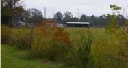 11709 Burgess Ave. Walker, LA 70785 - Image 14961276