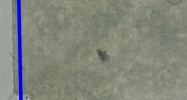 908 Industrial Park Tecumseh, MI 49286 - Image 14963056
