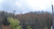 324 East Parkway Gatlinburg, TN 37738 - Image 14964568