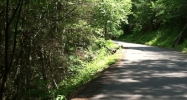 Forest Springs Drive Gatlinburg, TN 37738 - Image 14964573