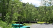 Walnut Road Gatlinburg, TN 37738 - Image 14964631