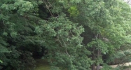 304 Hemlock Street Gatlinburg, TN 37738 - Image 14964635