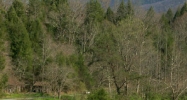 East Parkway Gatlinburg, TN 37738 - Image 14964616
