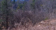 0 Grouse Trail Gatlinburg, TN 37738 - Image 14964619