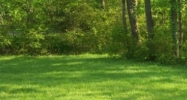 & 3 Old Mill Street Pigeon Forge, TN 37863 - Image 14964801