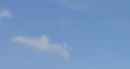 5000 Park St N Saint Petersburg, FL 33709 - Image 14965036