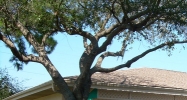 4102 34th Street S. Saint Petersburg, FL 33711 - Image 14965329