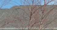 Suite 3202 Lexington, KY 40509 - Image 14965483