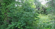 173 Griffis Lane Brooks, KY 40109 - Image 14965592
