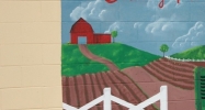 2967 King's Church Rd Taylorsville, KY 40071 - Image 14966559
