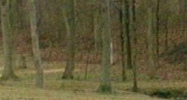 10000 Brentlinger Ln Louisville, KY 40291 - Image 14966776