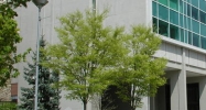 555 E. William Ann Arbor, MI 48104 - Image 14967042