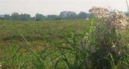 Lot 4 Boone Station Rd Shelbyville, KY 40065 - Image 14968144