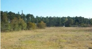13340 PENDARVIS LN Walker, LA 70785 - Image 14968285