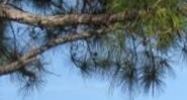 4900-4914 Creekside Drive Clearwater, FL 33760 - Image 14968497