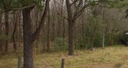 8370 Siegen Ln Baton Rouge, LA 70810 - Image 14968662