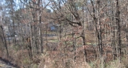 886 Dyer Bridge Road Ringgold, GA 30736 - Image 14969980