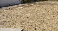 8100 Preston Hwy Louisville, KY 40219 - Image 14971814