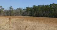 Hwy 190 By-pass Covington, LA 70433 - Image 14974358