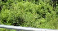 LA HWY. 44 Gonzales, LA 70737 - Image 14976537