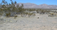 Paiute & Woods Jean, NV 89019 - Image 14976951