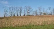 1027 Mt. Vernon Dr Shelbyville, KY 40065 - Image 14979363