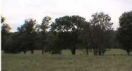 22 Old Seven Mile Pike Road Shelbyville, KY 40065 - Image 14979548