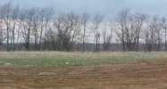 Tr 9B Hi Point Industrial Park Shelbyville, KY 40065 - Image 14979568
