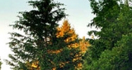 4635 44th Street SE Grand Rapids, MI 49512 - Image 14979553