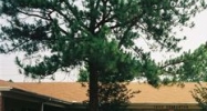 1900 Dunbarton Dr Jackson, MS 39216 - Image 14981878