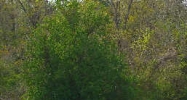 1803 Hospital Dr Jackson, MS 39204 - Image 14981941