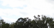 2941 Terry Road Jackson, MS 39212 - Image 14984371