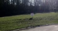 Hwy 51 and Doctors Blvd. Hammond, LA 70403 - Image 14989549