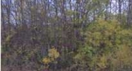 1 HUNTER RD. Taylorsville, KY 40071 - Image 14992353
