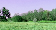Indian Springs Shelbyville, KY 40065 - Image 14992365