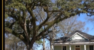 328 W 26th Ave Covington, LA 70433 - Image 14992811