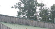 11016 HWY 157 Rising Fawn, GA 30738 - Image 15007903