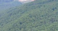 905 Georgia 157 Lookout Mountain, GA 30750 - Image 15015283