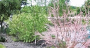 7453 LaPrairie Ln Ann Arbor, MI 48103 - Image 15037842