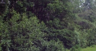 11 Industrial Parkway Brunswick, ME 04011 - Image 15038546