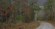 Howard Beavert Ridge Rd Dunlap, TN 37327 - Image 15039422