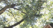 3900 Lee St Alexandria, LA 71302 - Image 15041838