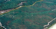 0 Lower River Road Charleston, TN 37310 - Image 15041864