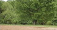 8 PROGRESSIVE DR Taylorsville, KY 40071 - Image 15044546
