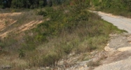 4929 Cloud Springs Road Ringgold, GA 30736 - Image 15046985