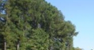 Ga Highway 166 and Chapel Hill Road Douglasville, GA 30135 - Image 15054917