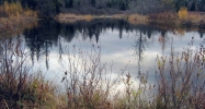 0 Atwood Rd Island Pond, VT 05846 - Image 15065737